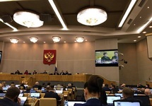 Михаил Терентьев выступил на пленарном заседании Госдумы в часе политических заявлений 
